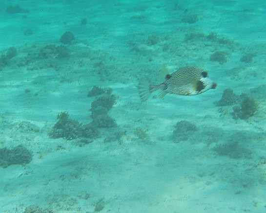 PA150066.JPG
