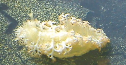 DSC00067.jpg