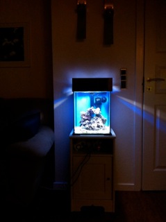IMG_0221.jpeg