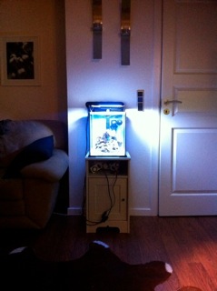 IMG_0212.jpeg