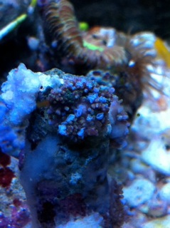 IMG_0228.jpeg
