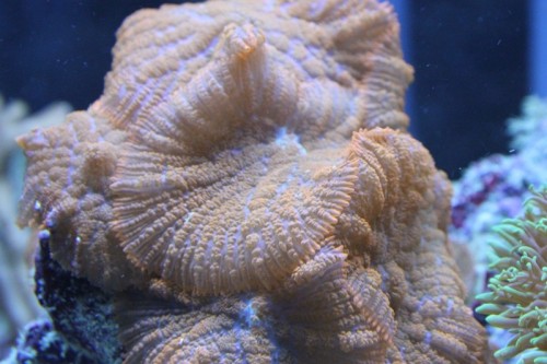 IMG_0187.JPG