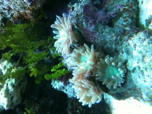 foto 1.JPG