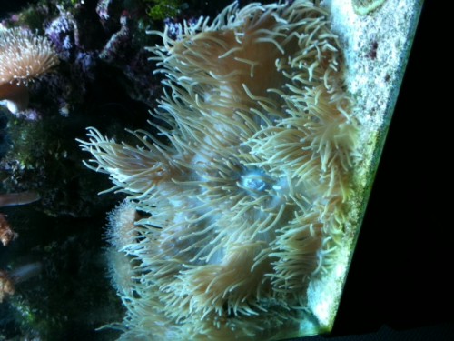 foto 6.JPG