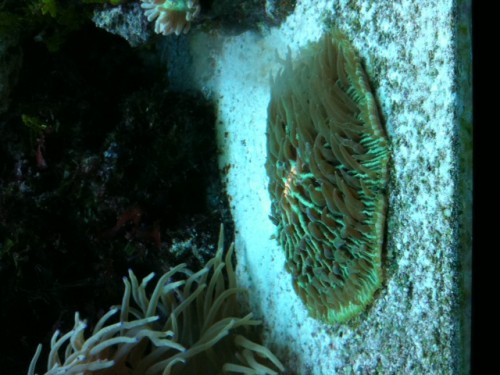 foto 7.JPG