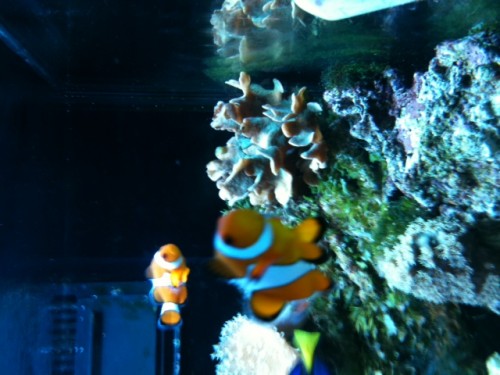 foto 8.JPG