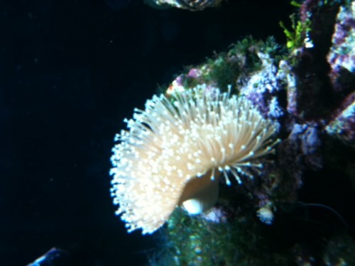 foto 9.JPG