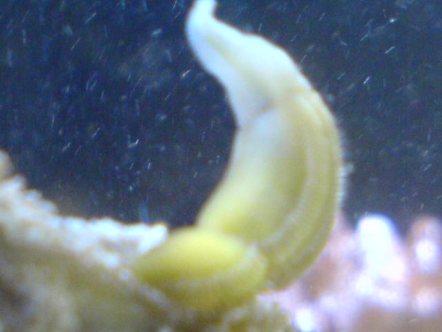 DSC00093.JPG