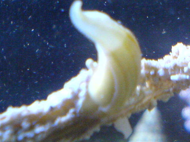 DSC00094.JPG