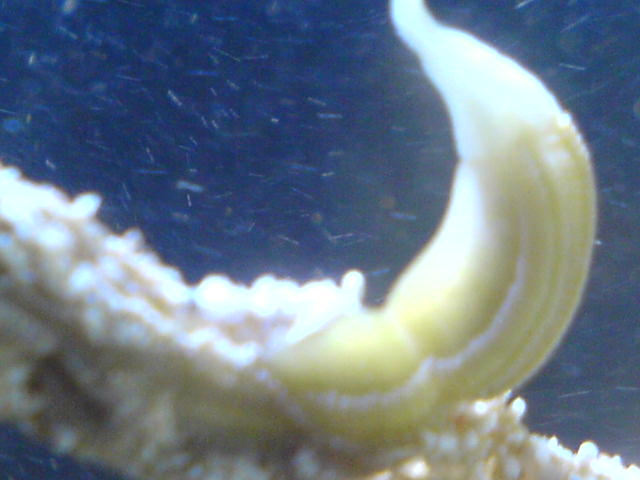 DSC00092.JPG