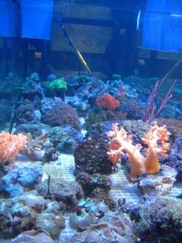 IMG_2178.JPG