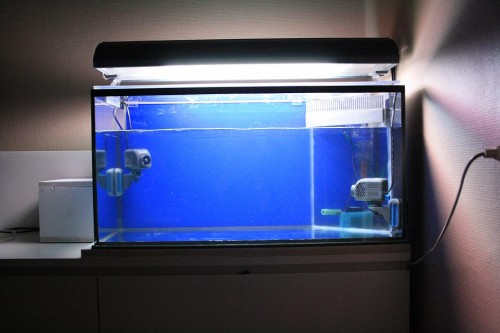 Og selvfølgelig, et full tank shot! :)