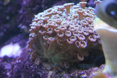 IMG_0446.JPG