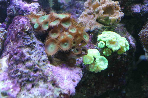 IMG_0449.JPG