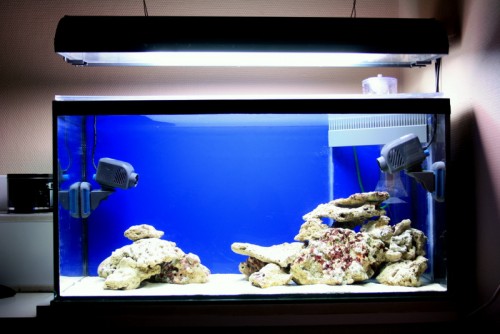 FTS