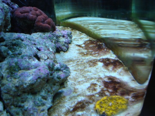 15 min. efter lyset tænder