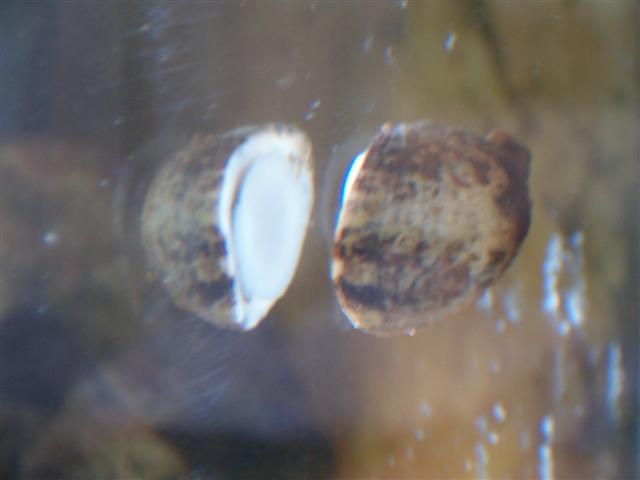 HPIM0518.JPG