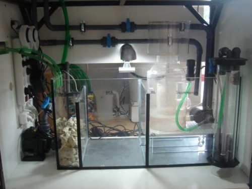 83l Sump setup.jpg