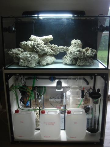 275l saltvand setup.jpg