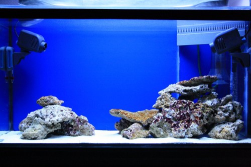 FTS :)