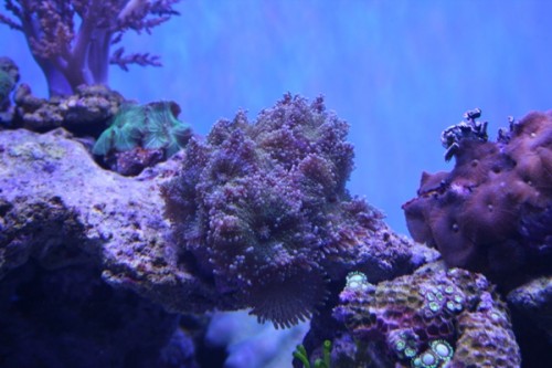 03-02-2011 027.JPG