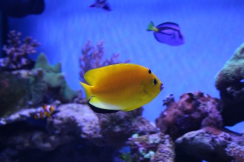 03-02-2011 026.JPG