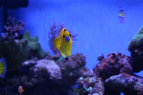 03-02-2011 025.JPG