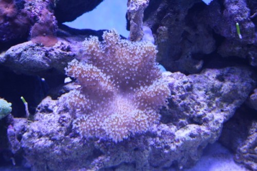 03-02-2011 010.JPG