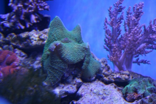 03-02-2011 008.JPG