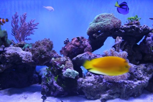 03-02-2011 003.JPG