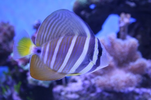 03-02-2011 002.JPG