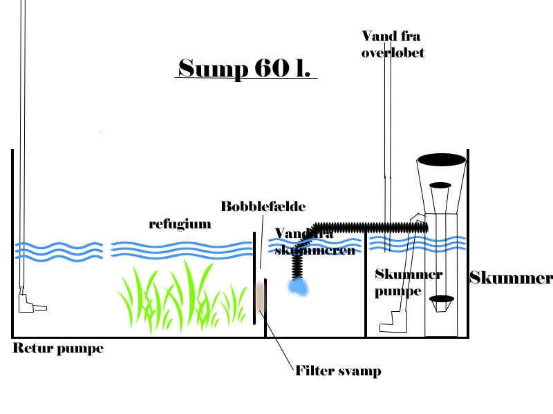 sump2.jpg