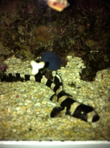 foto7.JPG