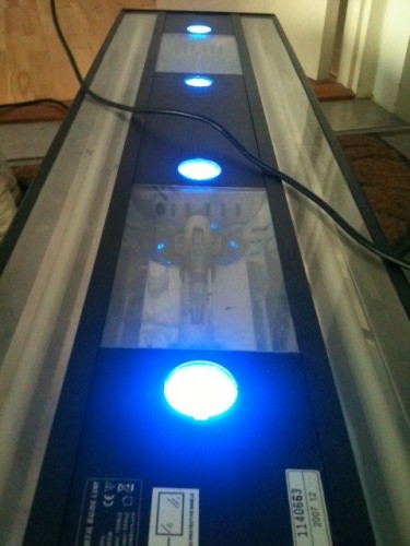 det hele startede med, at jeg købte denne lampe af en her på forummet. det er en boyu hqi med 2 stk 150w hqi + 2stk blå t5 54w + 4 stk led natlys. 120 cm lang.