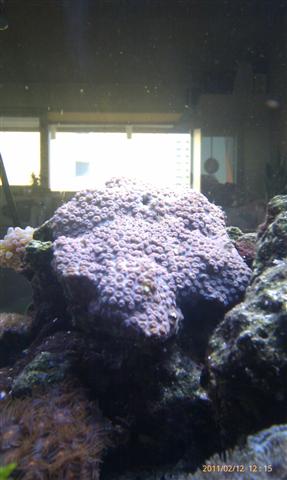IMAG0013 (Small).jpg