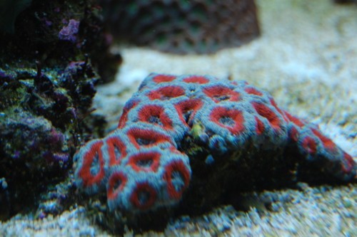 DSC_0872.jpg