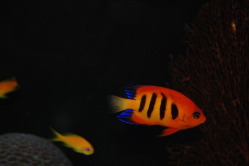DSC_0891.jpg