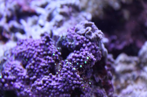 IMG_1624.JPG