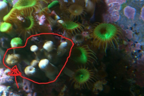 CIMG6347.JPG