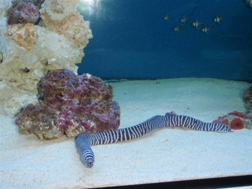 P2170029 (Medium).JPG