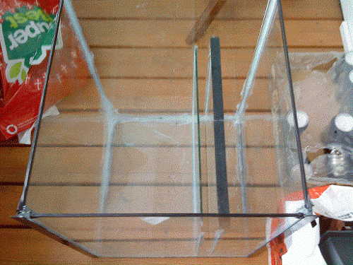 DSC00516435345376575.gif