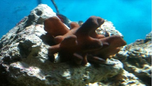 IMG_0157.JPG
