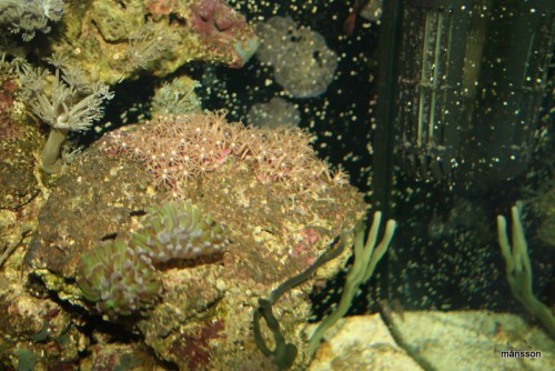 IMG_1819.JPG