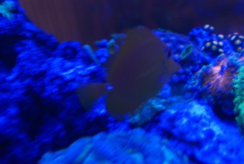 foto10.JPG