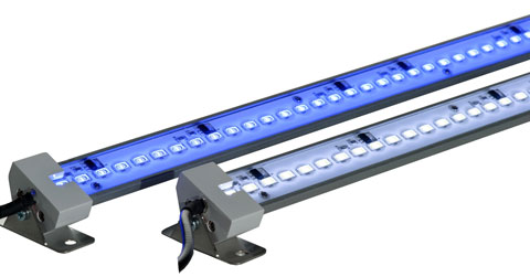 TrueLumen_Pro_Strips.jpg