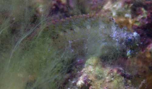 IMG_1403.jpg