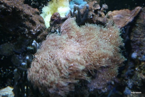 IMG_1834.JPG