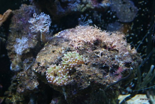 IMG_1835.JPG