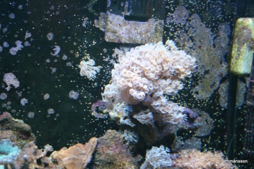 IMG_1837.JPG