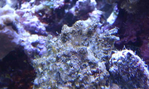 IMAG0017.jpg